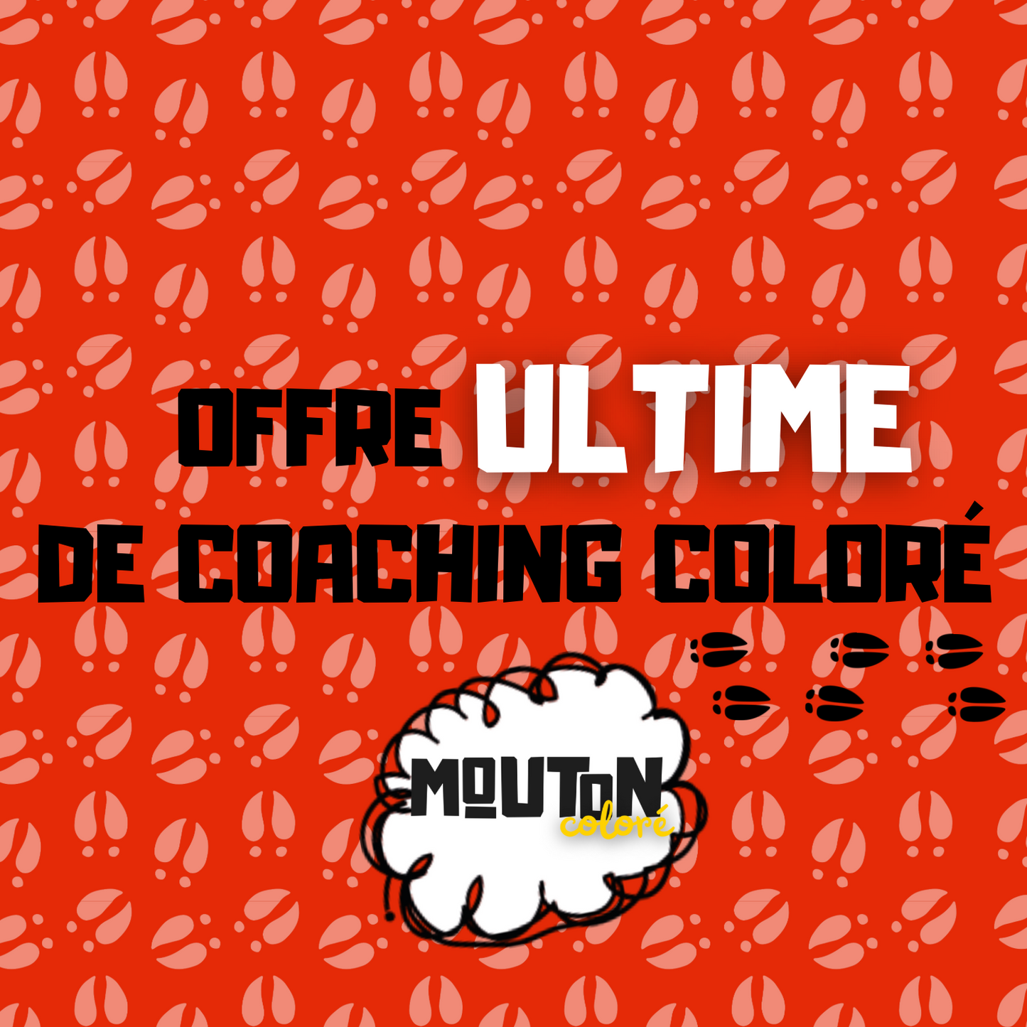 Offre ULTIME de coaching coloré